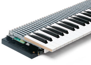 Fatar TP60LW IV klavier