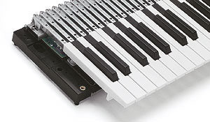 Fatar TP60LF klavier